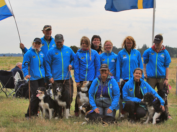 Landslaget 2014 på Continental/EM
