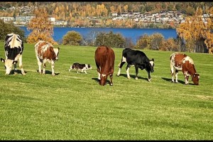 Vy bild 2
