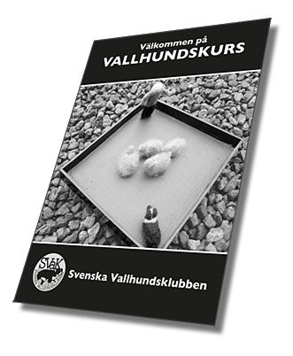 Häfte hundkurs