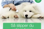 FB-webbinarium-Så-slipper-du-veterinären