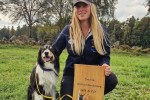 Allroundhund 2024 mindre